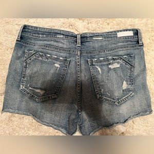 Buckle Black brand shorts
